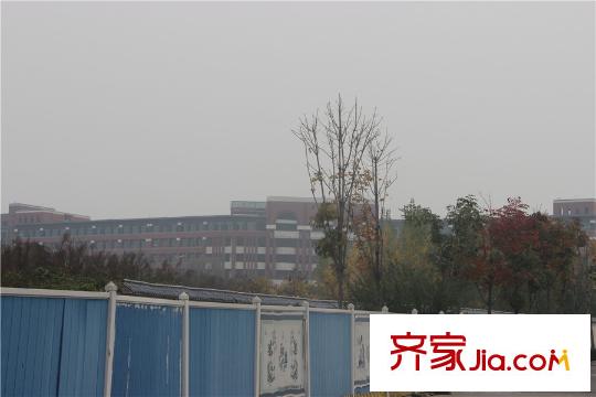 龍湖?花千樹附近的交大附中附小