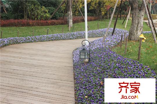 龍湖?花千樹小區(qū)園林（2015.11.09）