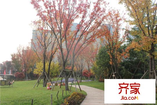 龍湖?花千樹小區(qū)園林（2015.11.09）