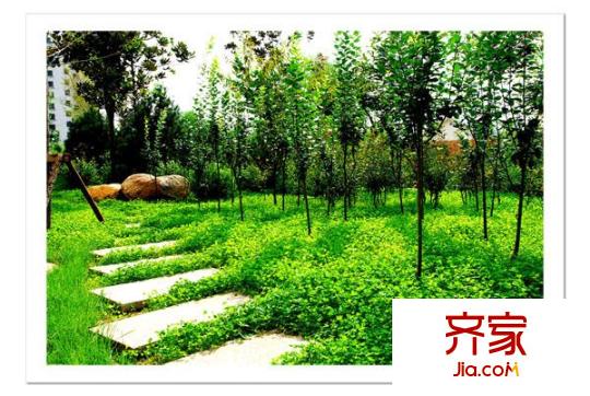 咸寧灣小區(qū)外景圖咸寧灣 