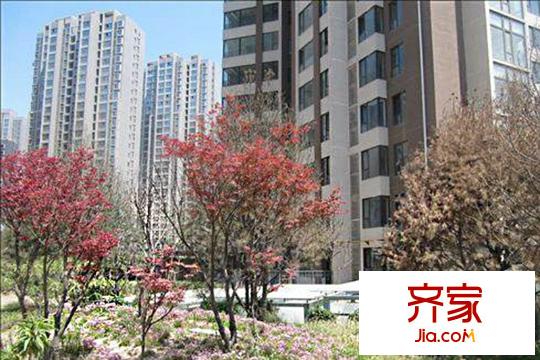 城市星鉆外景圖 