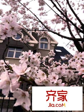 云中漫步