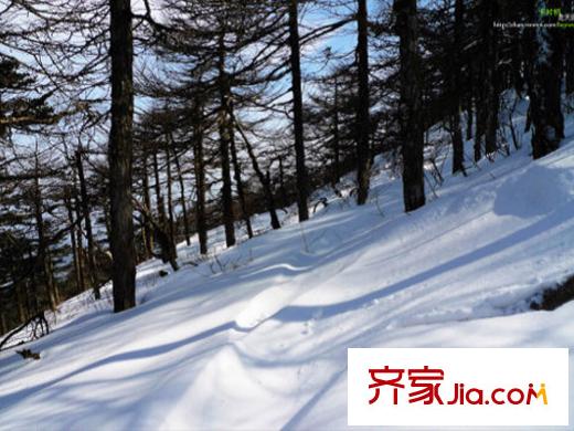 云中漫步周邊祥峪森林公園