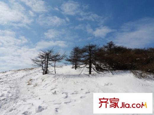 云中漫步周邊祥峪森林公園