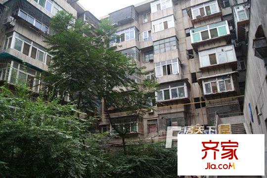 北洞巷小區(qū)實景圖