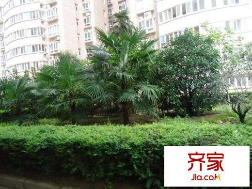 亞冠大廈外景圖 