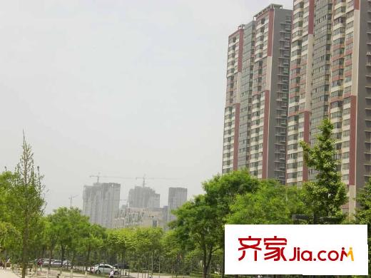 城市星鉆配套圖 周邊 社區(qū)