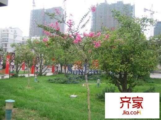 外貿(mào)家屬院外景圖 