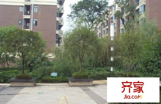 春天花園外景圖西安  