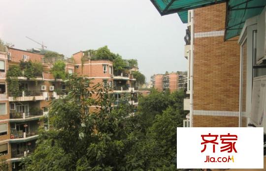 春天花園外景圖西安  