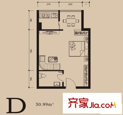 捷瑞公園首府戶型圖D戶型50.991011 1室1衛(wèi)1廚