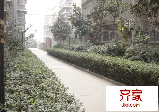 電子城教育局小區(qū)外景圖 