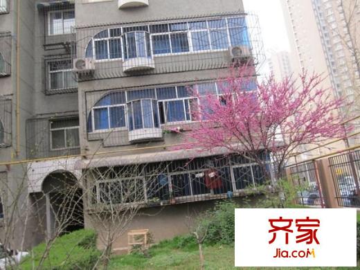 電子城教育局小區(qū)外景圖 