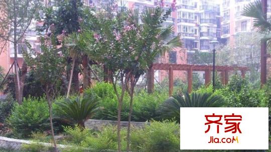 春天花園外景圖西安  