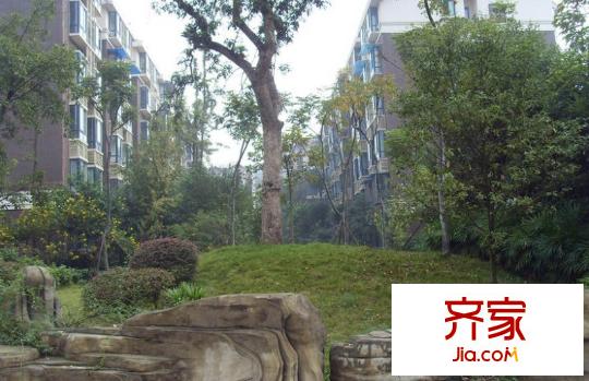 春天花園外景圖西安  