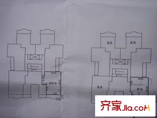 金康雅苑 3室 戶型圖