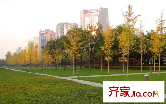 風(fēng)度天城配套圖周邊配套公園