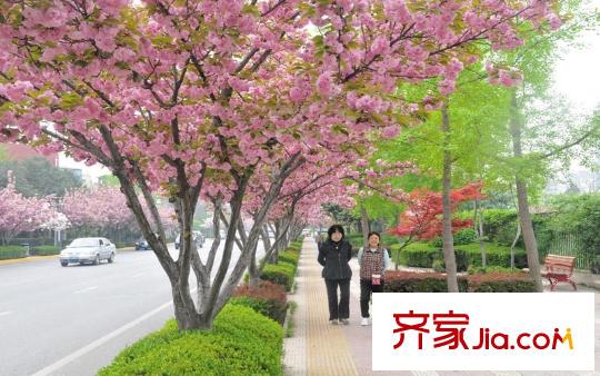 風(fēng)度天城配套圖周邊配套公園