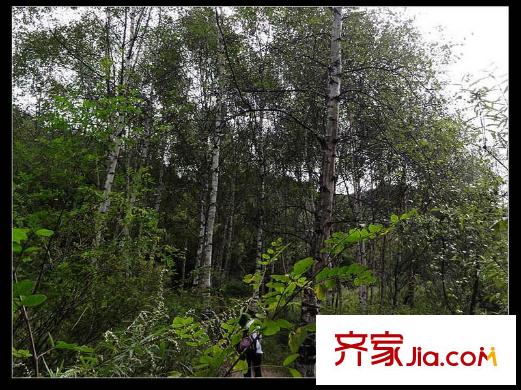 安德魯西亞周邊森林公園