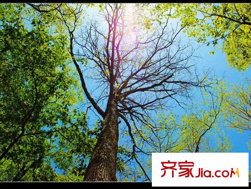 安德魯西亞周邊森林公園