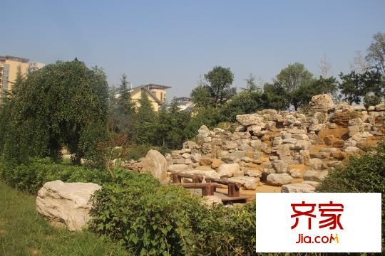 頤和盛世小區(qū)園林綠化（2014.9.5）