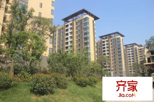 頤和盛世小區(qū)園林綠化（2014.9.5）