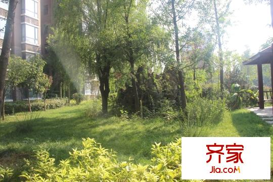 頤和盛世小區(qū)園林綠化（2014.9.5）