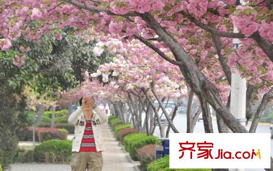 風(fēng)度天城配套圖周邊配套公園