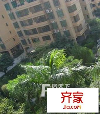 翠華小區(qū)外景圖  