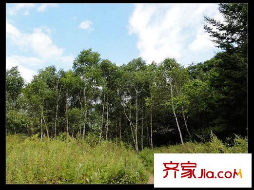 安德魯西亞周邊森林公園