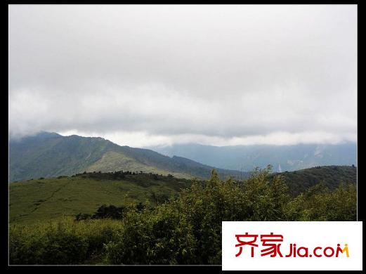 安德魯西亞周邊森林公園