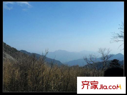 安德魯西亞周邊森林公園