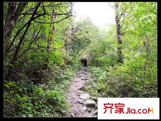 安德魯西亞周邊森林公園