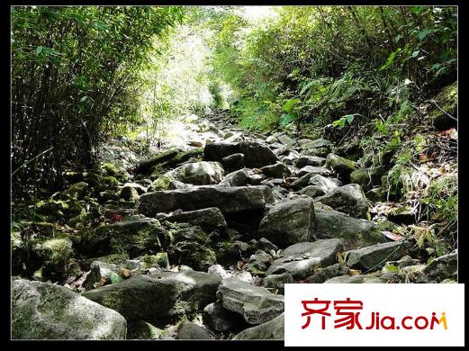 安德魯西亞周邊森林公園