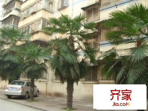 馨泰花園外景圖 