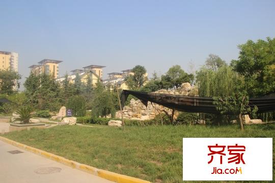 頤和盛世小區(qū)園林綠化（2014.9.5）
