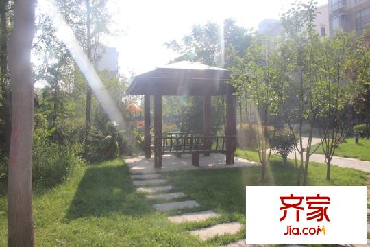 頤和盛世小區(qū)園林綠化（2014.9.5）