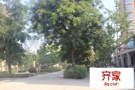 頤和盛世小區(qū)園林綠化（2014.9.5）