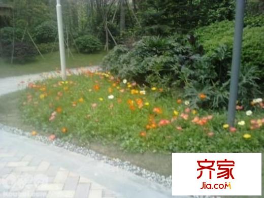 泰和居外景圖 