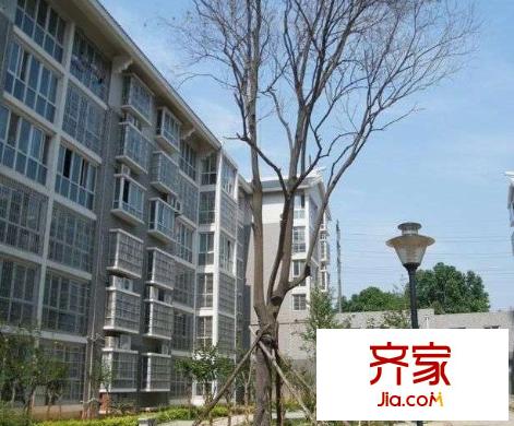 麗水花都外景圖西安  