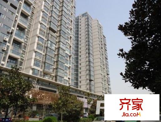 楓景觀天下