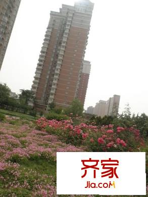 桃園湖別墅外景圖 