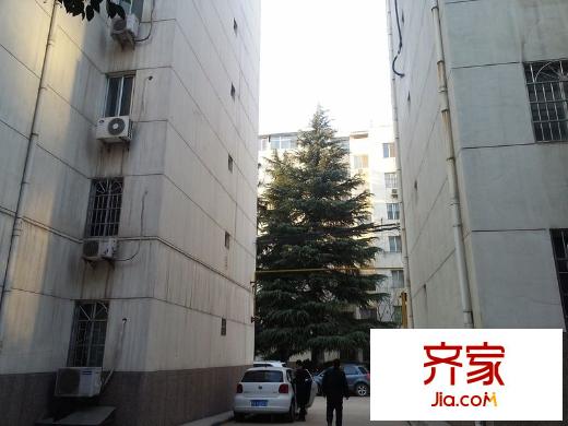 八一小區(qū)外景圖 