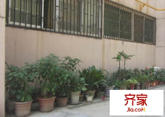 春之園