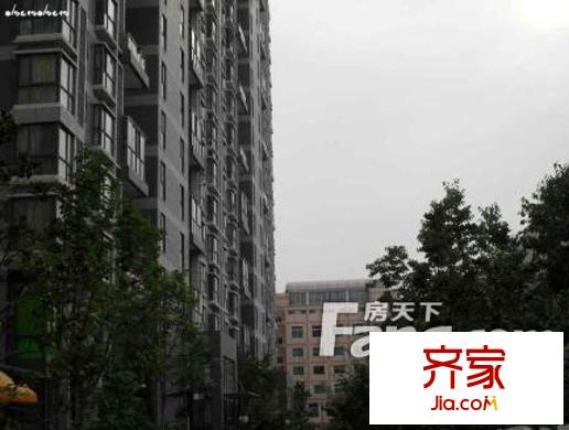 楓景觀天下外景圖 
