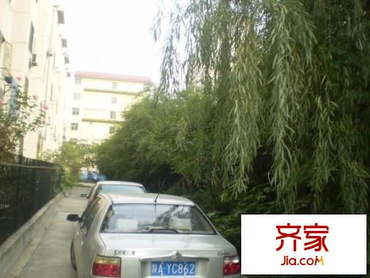 春之園外景圖 