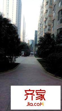 西城芳洲外景圖 