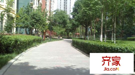 香克林小鎮(zhèn)外景圖 