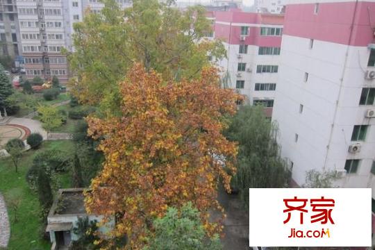 金裕花園外景圖 
