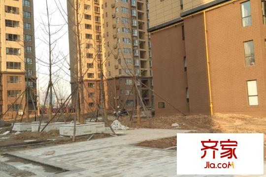 高新第五季4號(hào)樓施工進(jìn)度（2015-11-26）